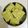 Hina Raval's cooksnap of when they made મગના ગ્રીન ઢોકળા (Moong Green Dhokla Recipe In Gujarati).