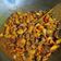 Cooksnap dari Ovira Merary Barus untuk resep Sambal Goreng Ati Ayam, Kentang Dan Wortel