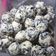 Cooksnap dari dyas untuk resep Bakso Ayam tanpa tepung #diet #DEBM