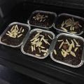 รูป Cooksnap ของ Pang H'Silca เมื่อเขาทำ เค้กโกโก้กล้วยหอมข้าวโอ๊ต(No powder)