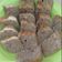 Cooksnap dari Bunda KiaOin untuk resep Bolu Pisang Kukus Lembut Tanpa Mixer