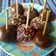 Cooksnap dari Ina Octafiana untuk resep 🍫 Bola Cokelat Biskuit Susu ala Dapur Fitri 🍫