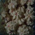 Cooksnap dari Yanti Supriyanti untuk resep Kue Kering Sagu Keju Ngeprulll