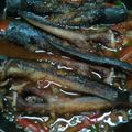Cooksnap dari Shariefa Aini untuk resep Lele saos padang
