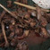 Cooksnap dari Rachma Soenaryo untuk resep Kresengan Pedas Ati Ampela