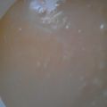 Jennifer's cooksnap of when they made Caramels.