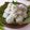 Cooksnap dari Nay's Kitchen untuk resep Klepon ubi jalar