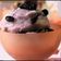 Bhumi Parikh's cooksnap of when they made મેંગો મઠો (Mango Matho Recipe In Gujarati).