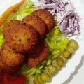 کوک اسنپ فرناز👩‍🌾 بعد از امتحان کردن فلافل جنوب 😋😍.