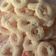 Cooksnap dari Maria Ulfah untuk resep Sagu Keju Lumer
