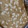 Cooksnap dari Maulida Kartika untuk resep Bolu Pisang Hanya 2 telur takaran sendok tanpa Mixer