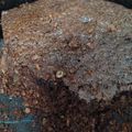 El cooksnap de Mariangel Migliarini cuando hizo Torta de chocolate 🍫, integral con avena.