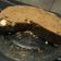 El cooksnap de Ruth Niz cuando hizo Postre de café express.