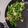 Cooksnap dari Gabriel timberlake untuk resep Buncis Cah Telur