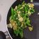Cooksnap dari Gabriel timberlake untuk resep Buncis Cah Telur