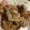 Cooksnap dari Inunk untuk resep Ayam kfc