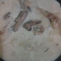 Cooksnap dari Nisa Dwi untuk resep Opor ayam mudah
