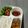 Cooksnap dari Dina Fahriya untuk resep Chicken Teriyaki