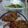 El cooksnap de Gabriela Passi cuando hizo Milanesa casera SIN huevo.