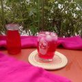 Cooksnap dari Siti Ramlah untuk resep Sirup Kulit Buah Naga