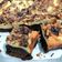 Cooksnap dari Fitri Anggraini Pradityaningsih untuk resep Cheesecake Brownies Panggang