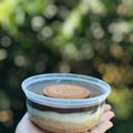 Cooksnap dari Iftitah Zakiyah untuk resep Regal Dessert Box