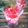 Cooksnap dari iiswatizain untuk resep Bubur Mutiara Merah + Tips Merebus Mutiara