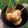 Cooksnap dari Rachma Aprilia untuk resep Takoyaki Isi Udang