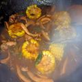 Cooksnap dari Ahmad Hamed untuk resep Cumi saus padang