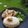 Cooksnap dari Pramita untuk resep Singapore Chicken Rice
