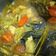 Cooksnap dari Dwi Apriani untuk resep Tongseng Ayam