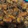 Cooksnap dari Rainz untuk resep Tumis Kerang Kecap