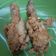 Cooksnap dari Wiwik Widiyati untuk resep AYAM TEPUNG awet krispinya