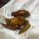 Cooksnap dari Sri Wijayanti untuk resep Spicy Chicken Wings enak!