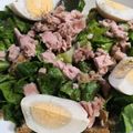 Cooksnap από Stella στη συνταγή Τονοσαλάτα με αυγά βραστά και ασπιτικά κρουτόν σκορδάτα !