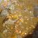 El cooksnap de jose ignacio Soria cuando hizo Ragout de ternera a mi manera.