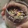 Bhumi Parikh's cooksnap of when they made ચોકલેટ મિલ્ક શેક (Chocolate Milk Shake Recipe In Gujarati).