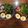 ate_all_the_pies's cooksnap of when they made Relaxed Ramen - Veggie & or Chicken.