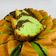 Cooksnap dari Mimie Amoy untuk resep Bolu Putih Telur Pandan Coklat