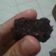 Cooksnap dari Tinuk Nurhayati untuk resep Brownies nutricake coklat