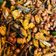 Cooksnap dari ZR’s Corner untuk resep Kering Tempe Kacang Teri Air Fryer