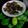 Sukla Sil's cooksnap of when they made গন্ধরাজ চিকেন পাতুরি (gandhoraj chicken paturi recipe in Bengali).