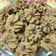 Cooksnap dari Lia untuk resep Semprit susu (3 bahan saja)