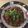 Cooksnap dari Ririn Eka Wulan Dari untuk resep Pampis Tongkol