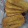 Cooksnap dari Henny Ariyanti untuk resep Pisang goreng krispi, bikinramadhanberkesan