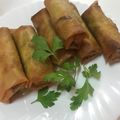 صورة من فراوله عبد الجواد ، شاركها بعد تجربة وصفة السبرنج رول