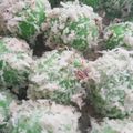 Cooksnap dari Maryam Suprayogi untuk resep Klepon endess