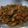 Cooksnap dari Sitta Astuti Lumi untuk resep Gurame Goreng Asam Manis