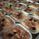 Cooksnap dari Vivi untuk resep Klapertart Yummy