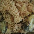 Cooksnap dari Septiara Ken untuk resep AYAM GORENG KREMES